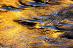 chocholowski potok, woda, strumien, rzeka, kolor, fot adam brzoza