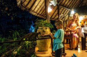 bush baby, zwierze, karmienie,, zanzibar, tanzania, fot adam brzoza