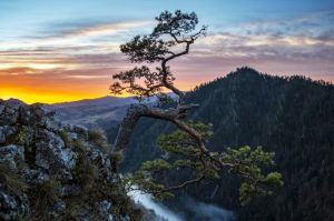 sokolica , pieniny wschod slonca, fot adam brzoza,