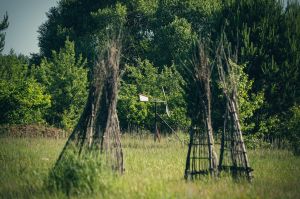 land art, lubelskie, stary bubel, fot adam brzoza,