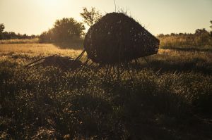 land art, lubelskie, stary bubel, fot adam brzoza,