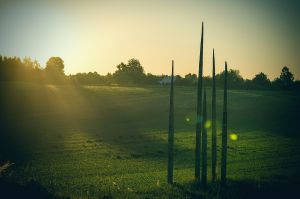 land art, lubelskie, stary bubel, fot adam brzoza,