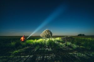 land art, lubelskie, stary bubel, fot adam brzoza,