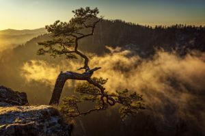 wschod slonca, sokolica, pieniny, widok na tatry, fot adam brzoza,