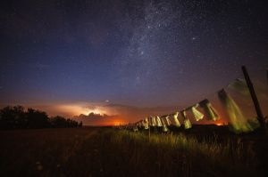 land Art festiwal, Lubelskie, Bubel Granna, fot adam brzoza