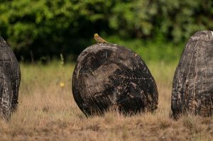 land art, lubelskie, stary bubel, fot adam brzoza,