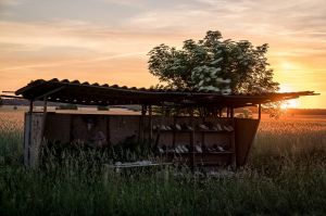 land art, lubelskie, stary bubel, fot adam brzoza,