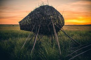 land art, lubelskie, stary bubel, fot adam brzoza,