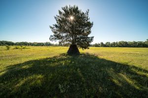 land art, lubelskie, stary bubel, fot adam brzoza,