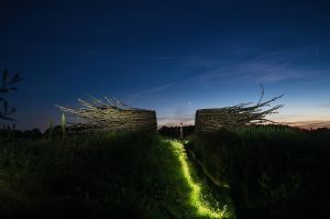 land art, lubelskie, stary bubel, fot adam brzoza,