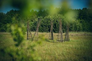 land art, lubelskie, stary bubel, fot adam brzoza,