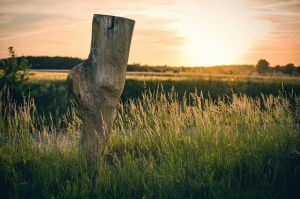 land art, lubelskie, stary bubel, fot adam brzoza,