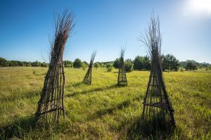 land art, lubelskie, stary bubel, fot adam brzoza,