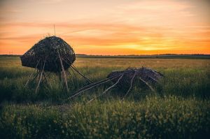 land art, lubelskie, stary bubel, fot adam brzoza,