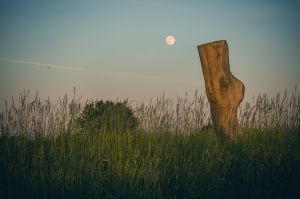 land art, lubelskie, stary bubel, fot adam brzoza,