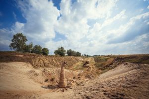 land Art festiwal, Lubelskie, Bubel Granna, fot adam brzoza