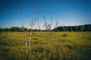 land art, lubelskie, stary bubel, fot adam brzoza,