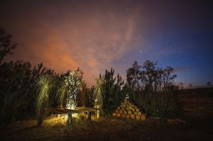 land Art festiwal, Lubelskie, Bubel Granna, fot adam brzoza