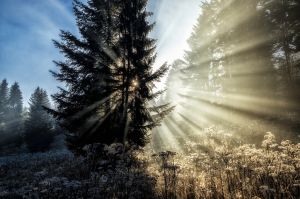 gorce, wschod slonca luban, widok na tatry i pieniny, mgly, fot adam brzoza,