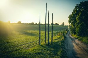 land art, lubelskie, stary bubel, fot adam brzoza,