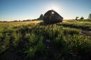 land art, lubelskie, stary bubel, fot adam brzoza,