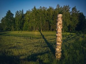 land art, lubelskie, stary bubel, fot adam brzoza,