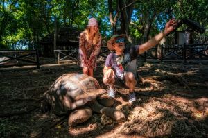 tanzania, africa, zanzibar , prison island, zlowie, fot adam brzoza, Changuu Island, Tortoise Sanctuary