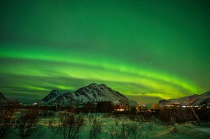 , norwegia, fot adam brzoza, zorza polarna, aurora, lofoty,