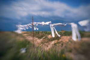 land Art festiwal, Lubelskie, Bubel Granna, fot adam brzoza