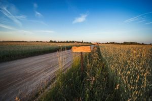 land art, lubelskie, stary bubel, fot adam brzoza,