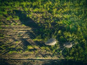 land art, lubelskie, stary bubel, fot adam brzoza,