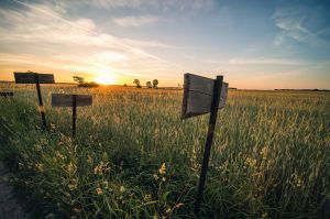 land art, lubelskie, stary bubel, fot adam brzoza,