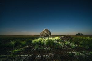 land art, lubelskie, stary bubel, fot adam brzoza,