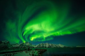 , norwegia, fot adam brzoza, zorza polarna, aurora,