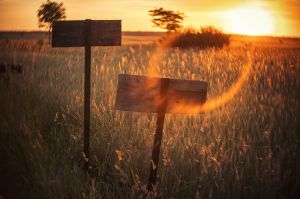 land art, lubelskie, stary bubel, fot adam brzoza,